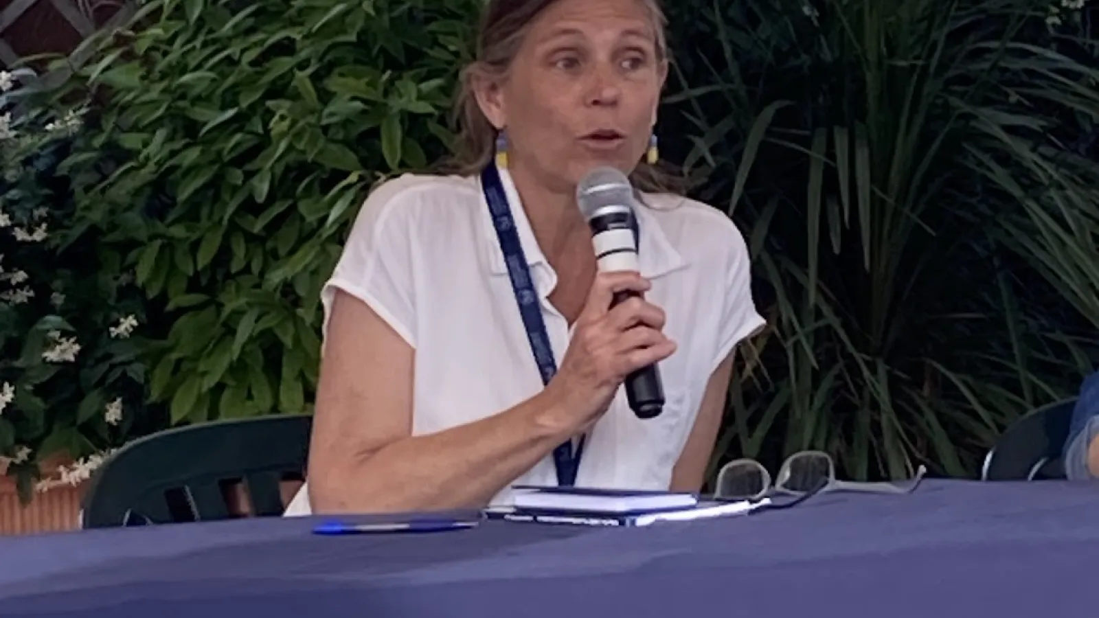 Dr. Brintlinger giving a talk
