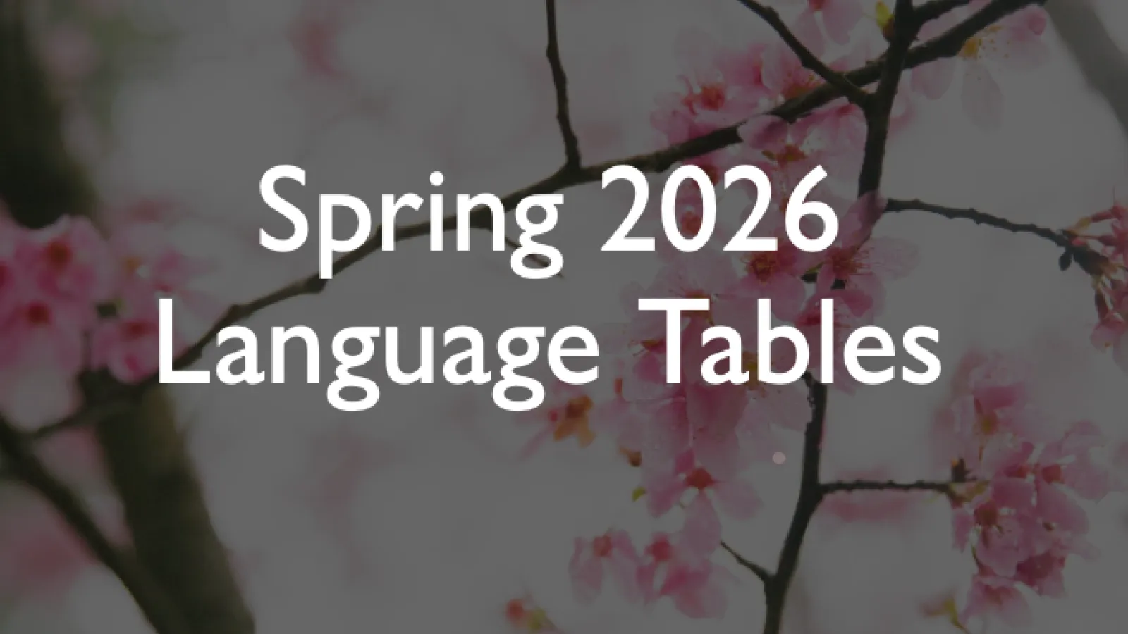 Spring 2026 Language Tables