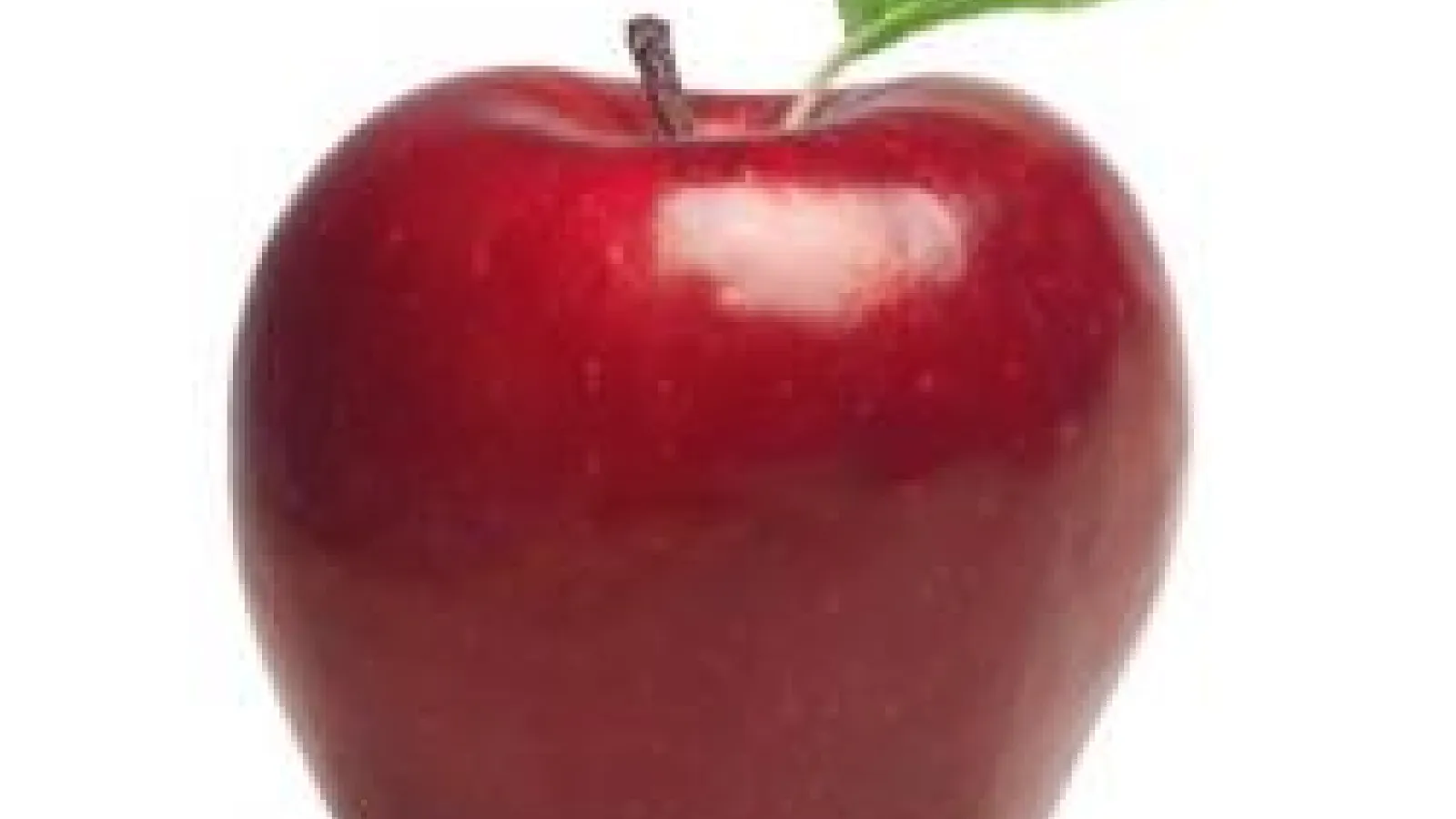 photo of apple