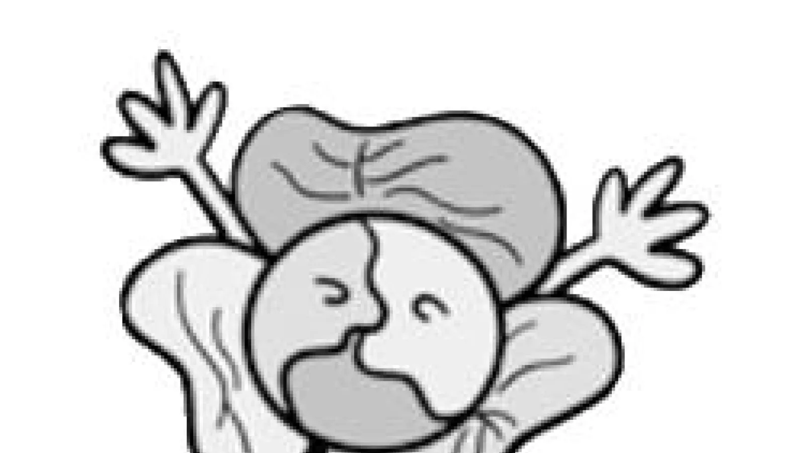 drawing of a cabbage