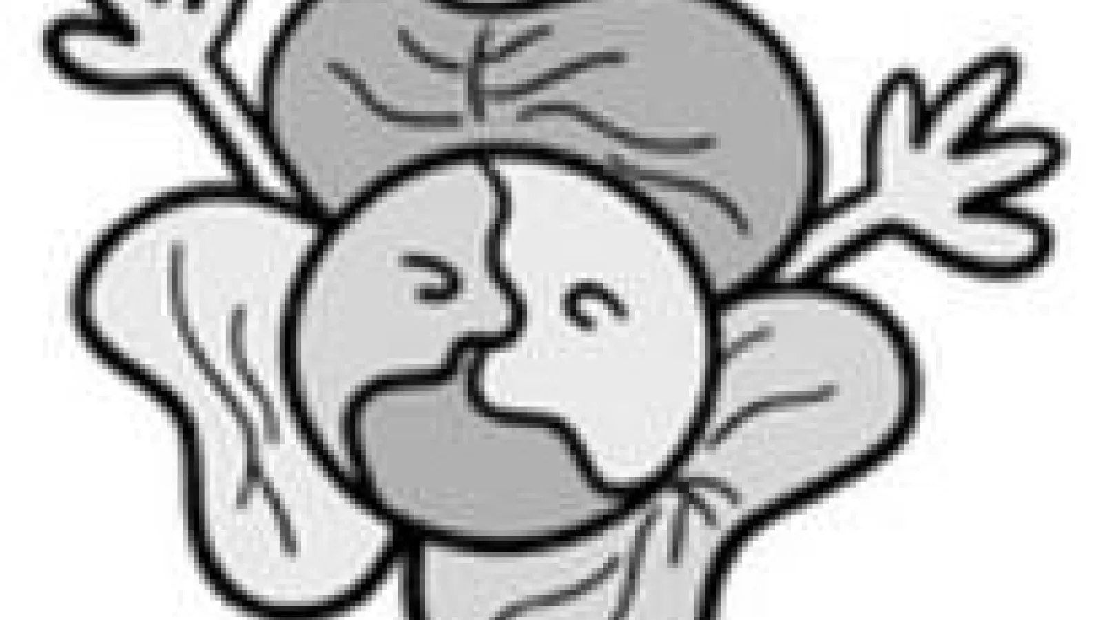 drawing of a cabbage