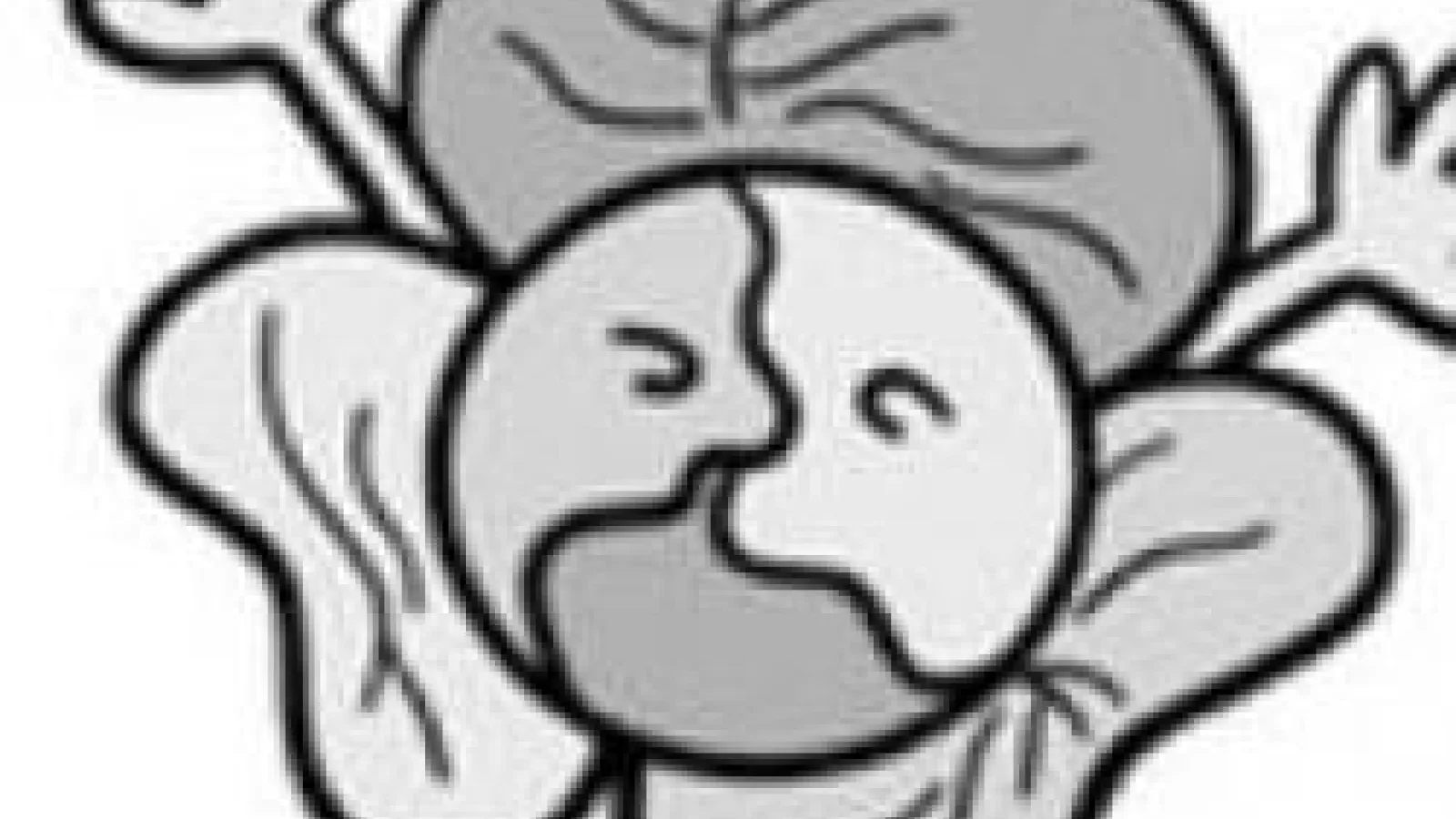 drawing of a cabbage