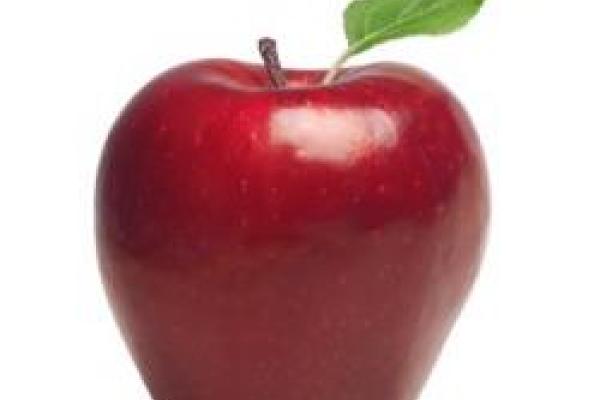 photo of apple