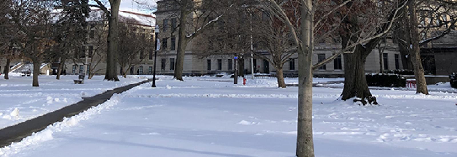 Snow on the Oval